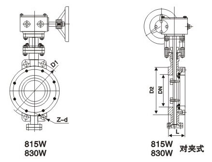 D371W(bio)(du)Aʽy
